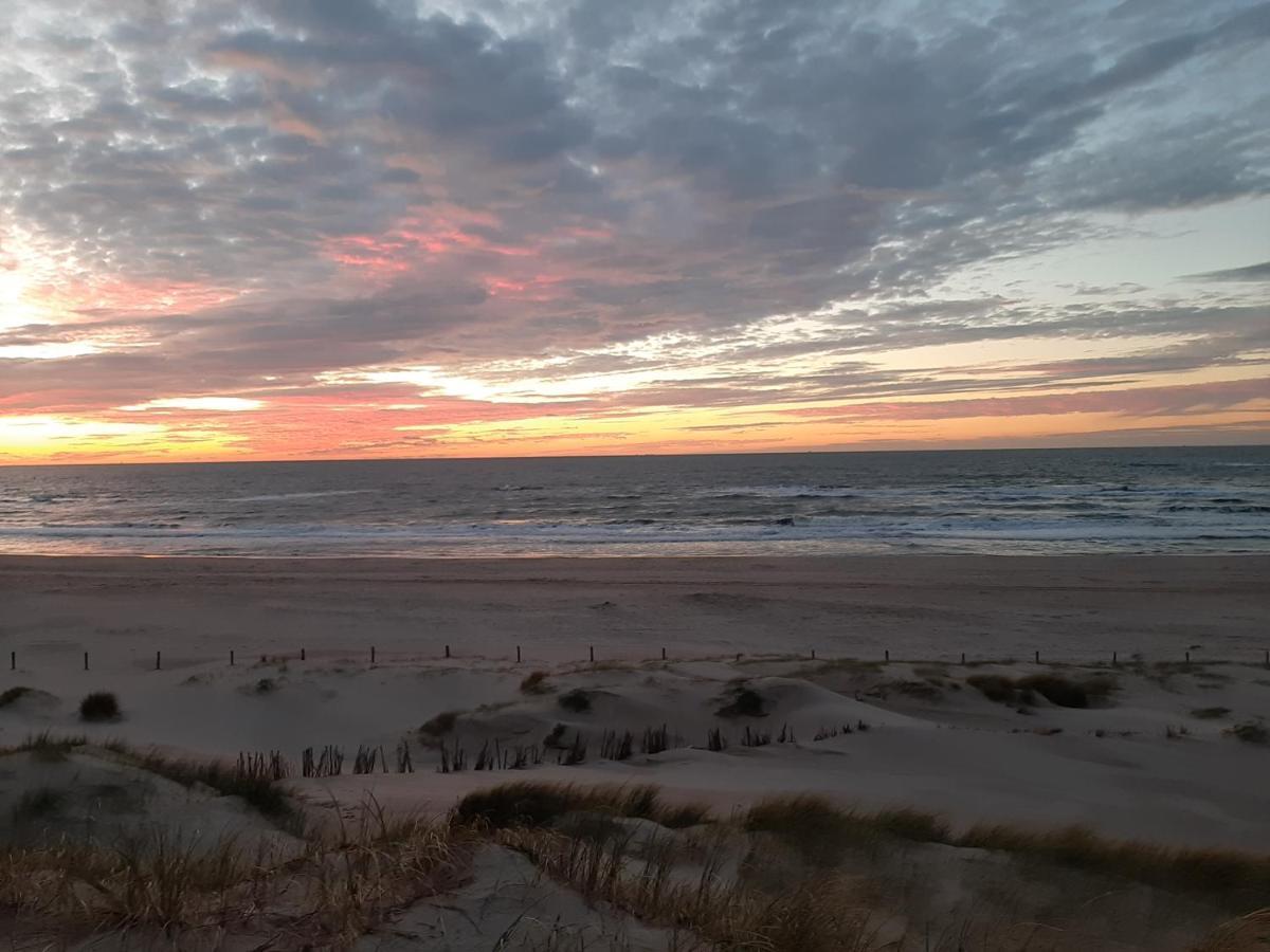 Boshuisje Petten Aan Zee Exterior photo